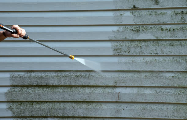 Best Roof Power Washing Services  in Portage, IN