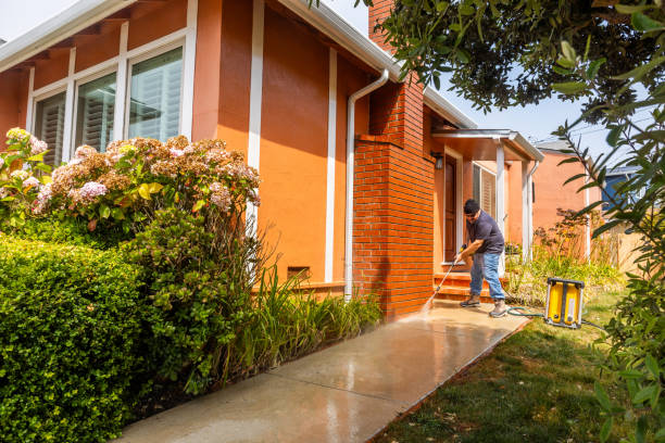 Best Pressure Washing Driveway  in Portage, IN
